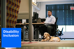 Disability Inclusion Disability Inclusion