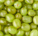Green grapes