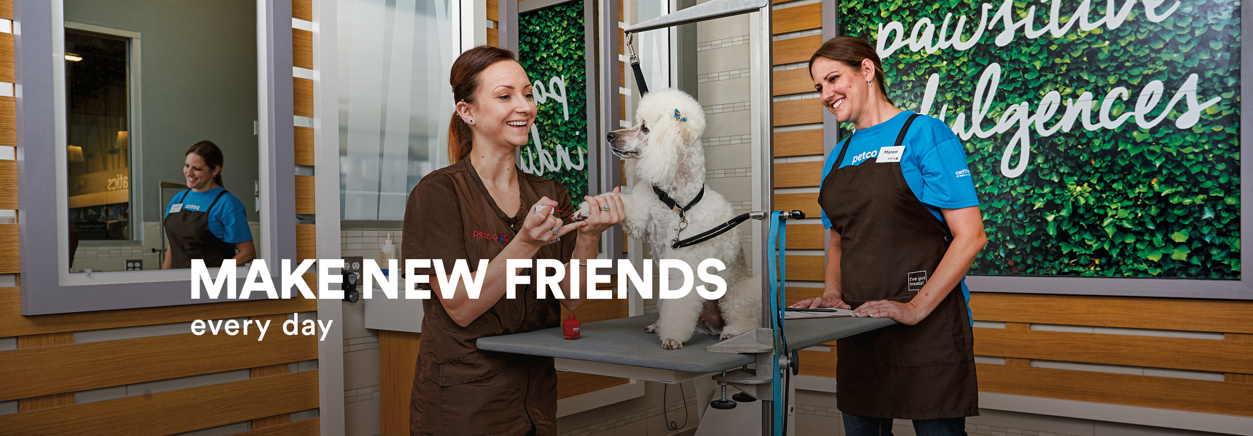 petco brazos town center