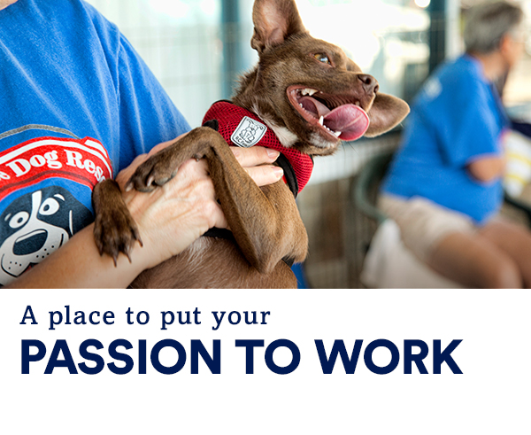 petco dog vaccinations near me