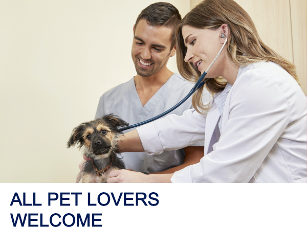 Mobile vet ser banner Petco Careers