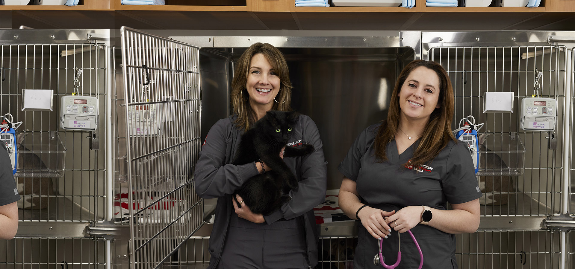 Veterinary Emergency Group Careers OUR WHY VEG