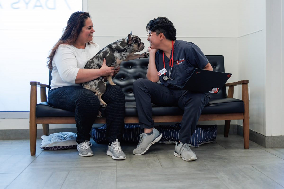 Veterinary Emergency Group Careers Emergency Veterinary Nurses VEG