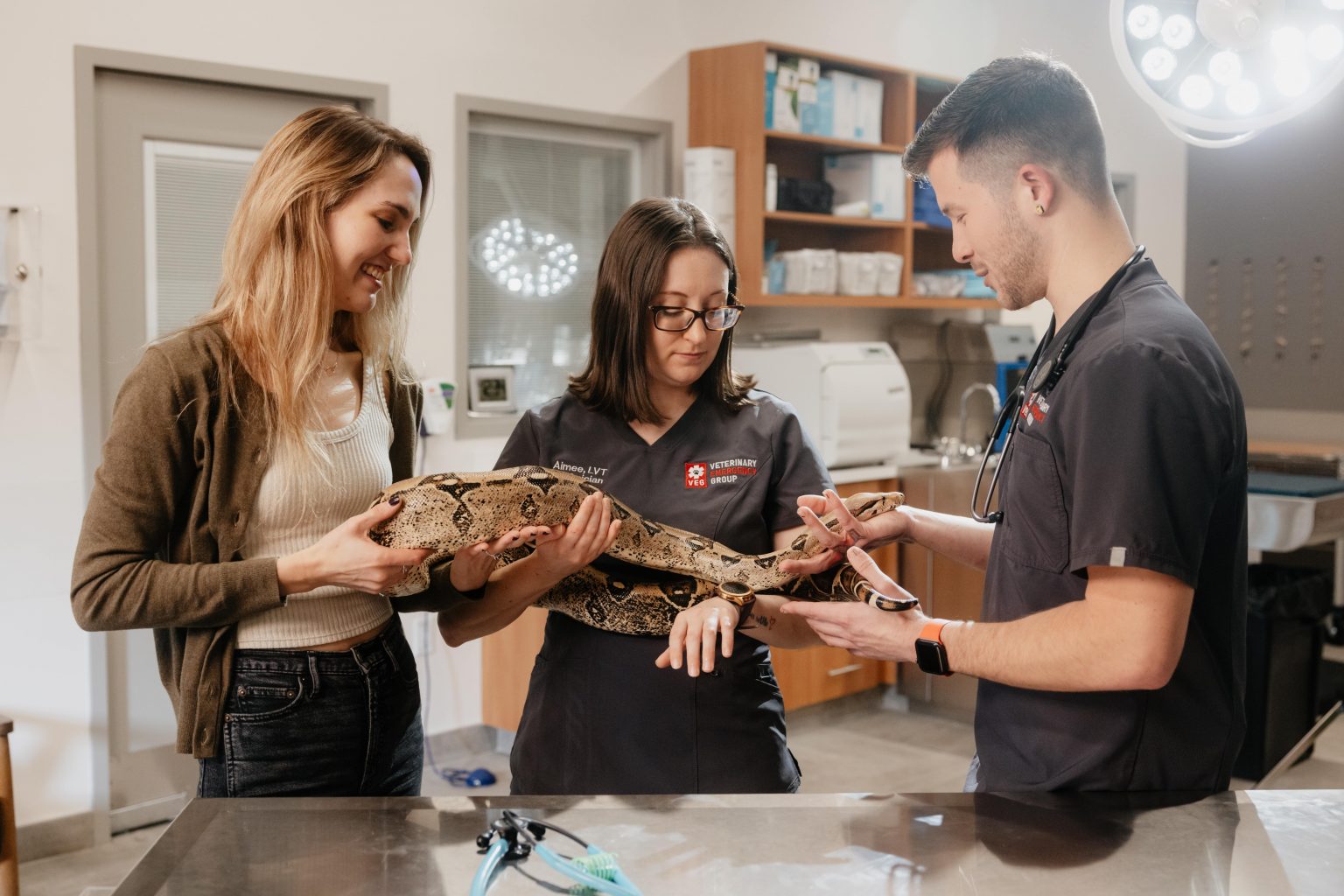 Veterinary Emergency Group Careers Emergency Veterinary Nurses VEG