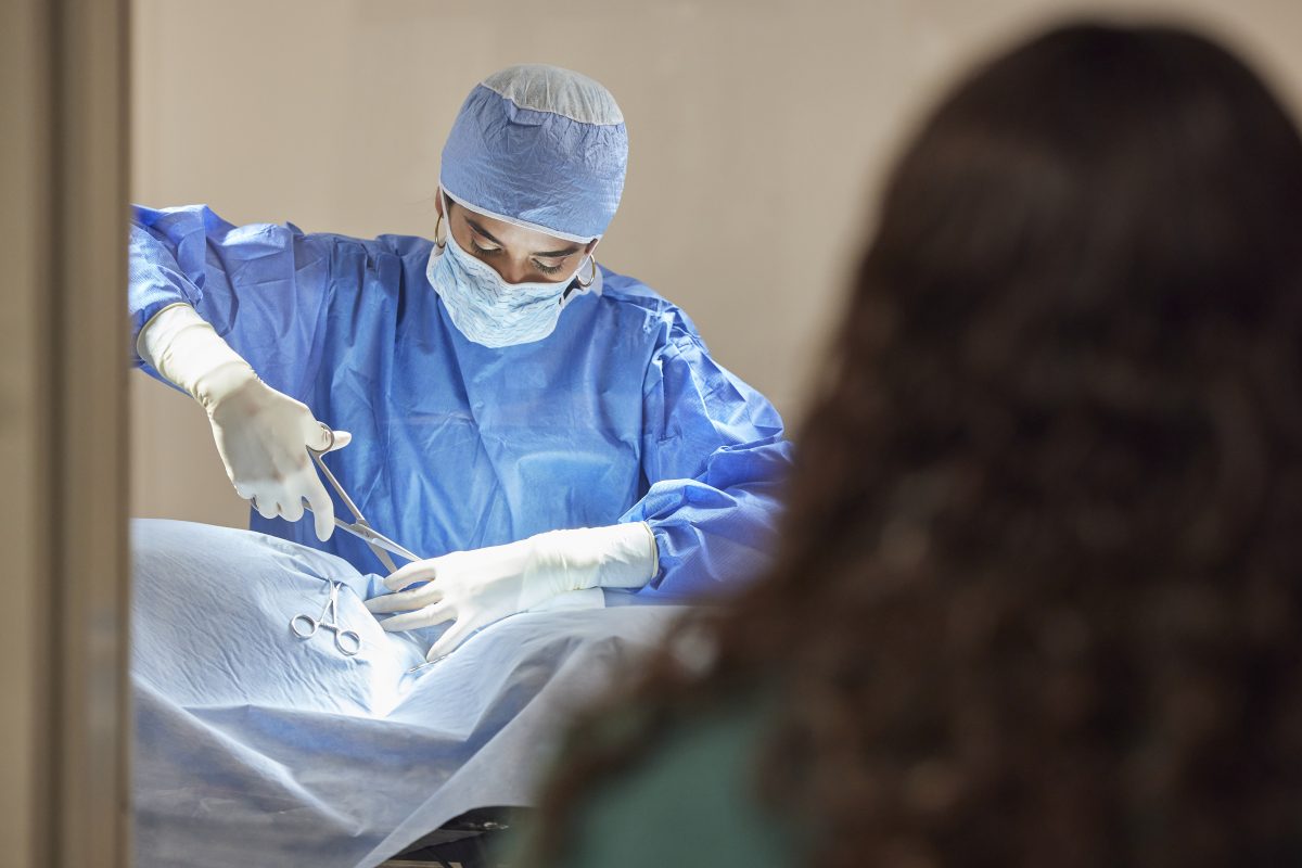 Veterinary Emergency Group Careers Student Veterinary Opportunities VEG