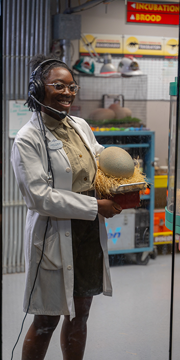 jurrasic crop Woman holding a dinosaur egg in Jurassic park