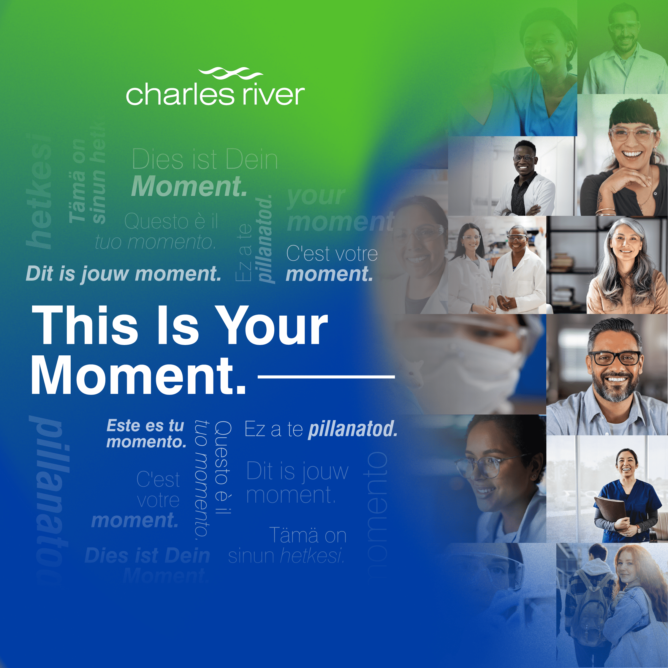 Charles Rivers Careers