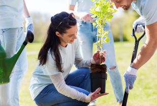 Un bărbat poartă mănuși de grădină pentru a săpa o groapă cu o lopată, în timp ce o femeie se pregătește să planteze un copăcel. Două persoane parțial vizibile ce poartă blugi apar pe fundal și privesc.