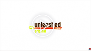 petco unleashed careers