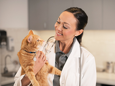 Veterinarian Holding Dog