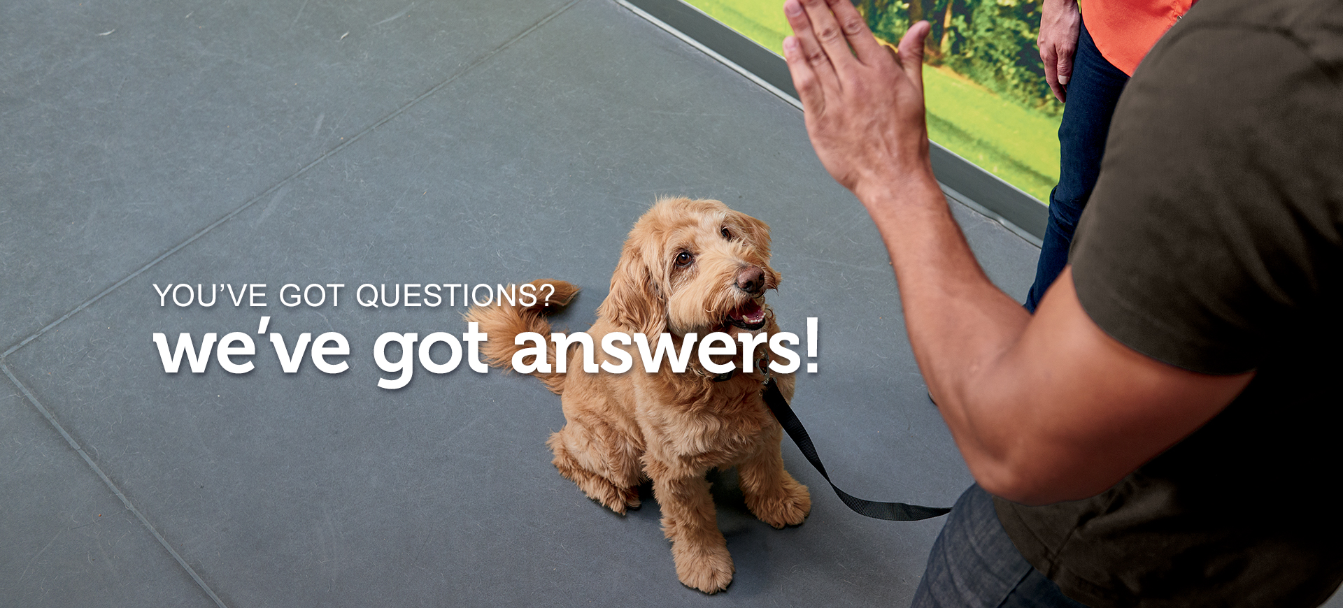 FAQs Petco Careers