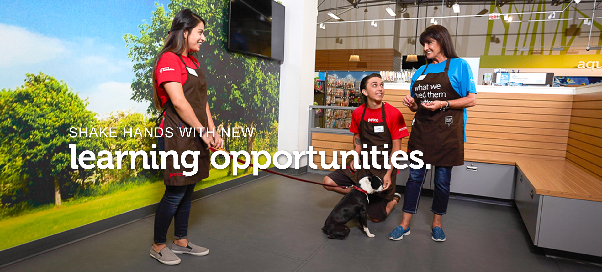  Petco Careers