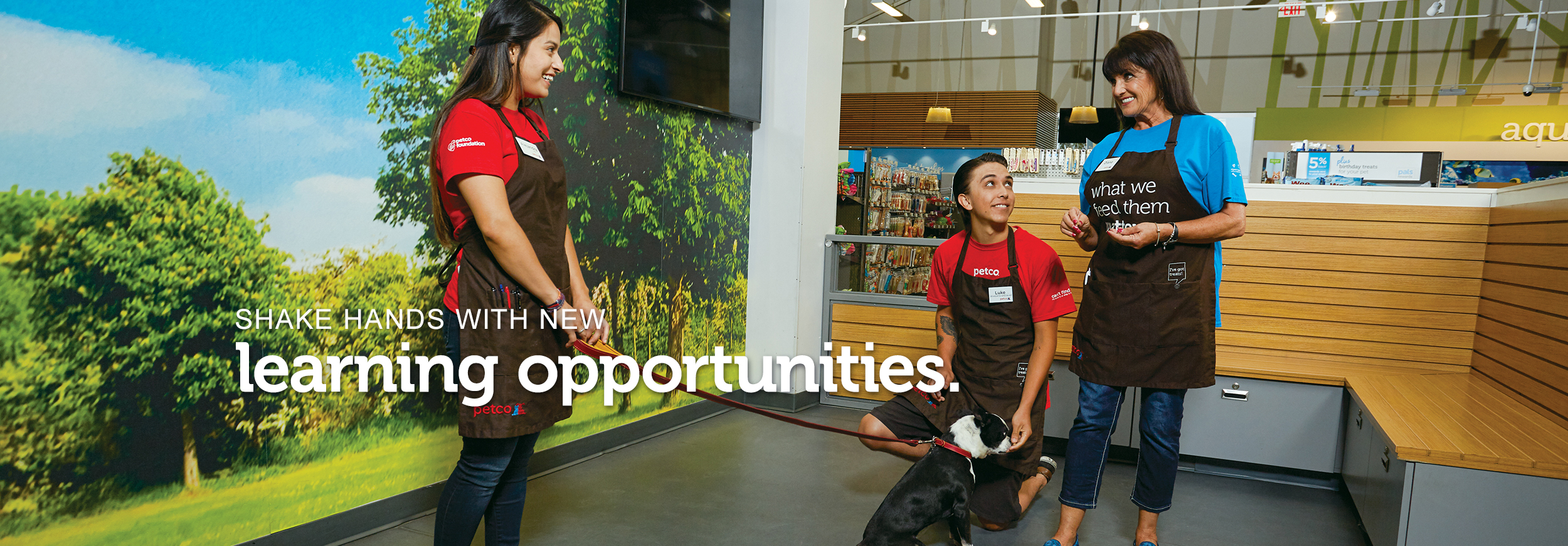  Petco Careers