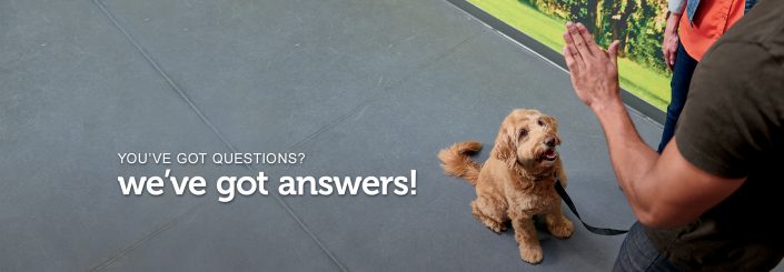  Petco Careers