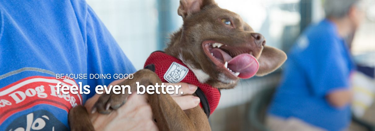 Petco Careers