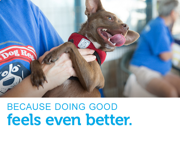 A little Chihuahua with his tongue out and mouth open is being held at a Petco Foundation adoption event. Text across the image reads, “because doing good feels even better.”
