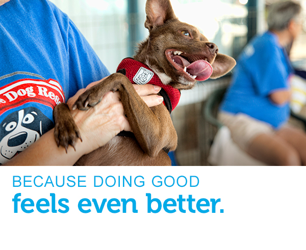 does petco neuter dogs