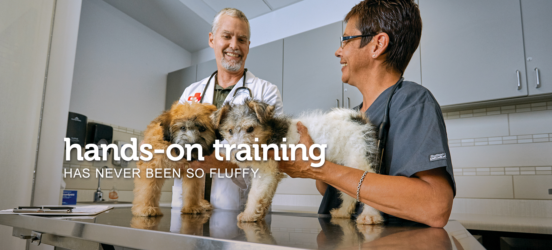 A male veterinarian and a female veterinary assistant talking while working with two fluffy puppies on an exam table. Text across the image reads “hands-on training has never been so fluffy.”