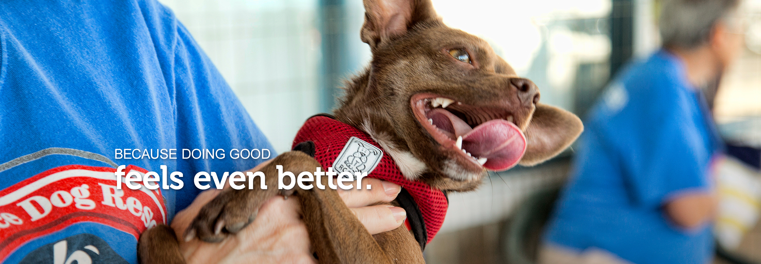 A little Chihuahua with his tongue out and mouth open is being held at a Petco Foundation adoption event. Text across the image reads, “because doing good feels even better.”