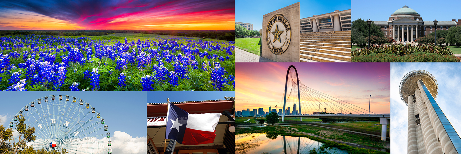 living-in-dallas_collage Living in Dallas