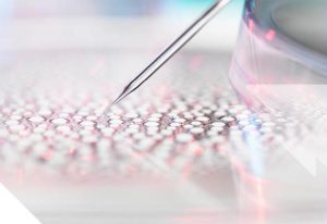 research header banner