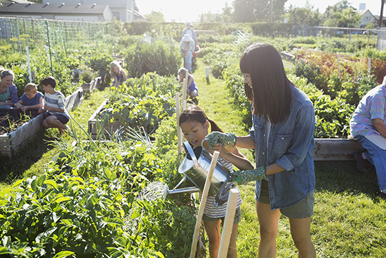 Teaching kids with gardening