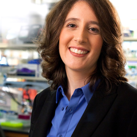 Elissa Hallem, PhD
Associate Professor, BRI, MIMG;
MacArthur Fellow