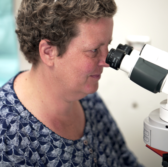 Kathrin Plath, PhD