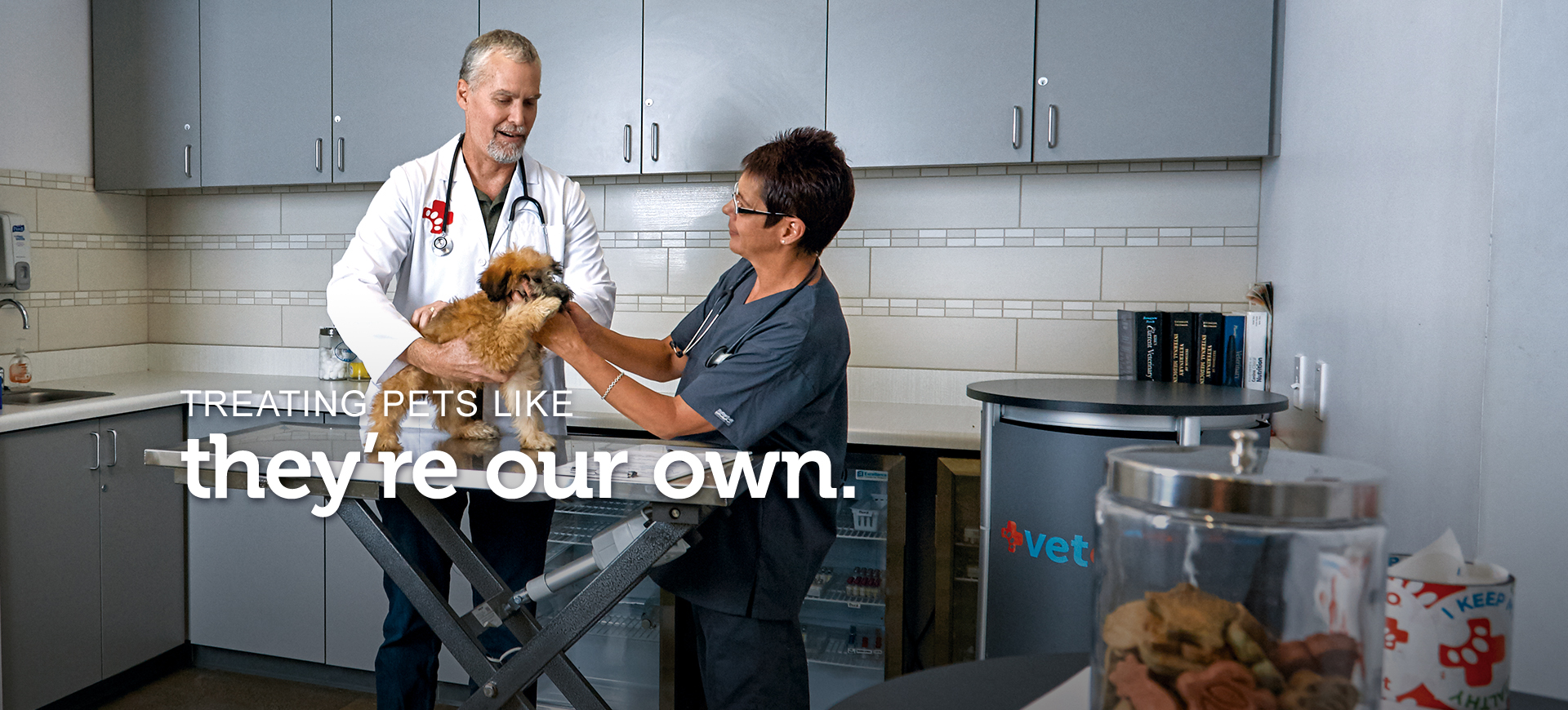 Vetco Veterinary Assistant job Gonzales, LA Petco Careers