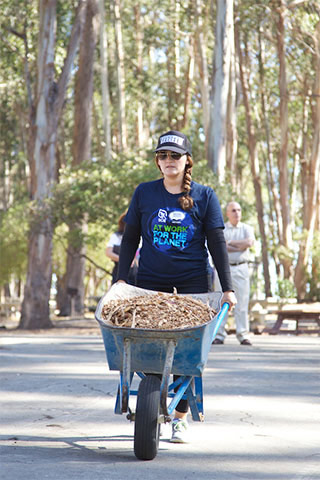 wheelbarrow