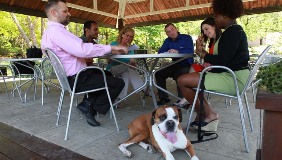 Careers with Nestlé Purina Search Jobs and Apply Online